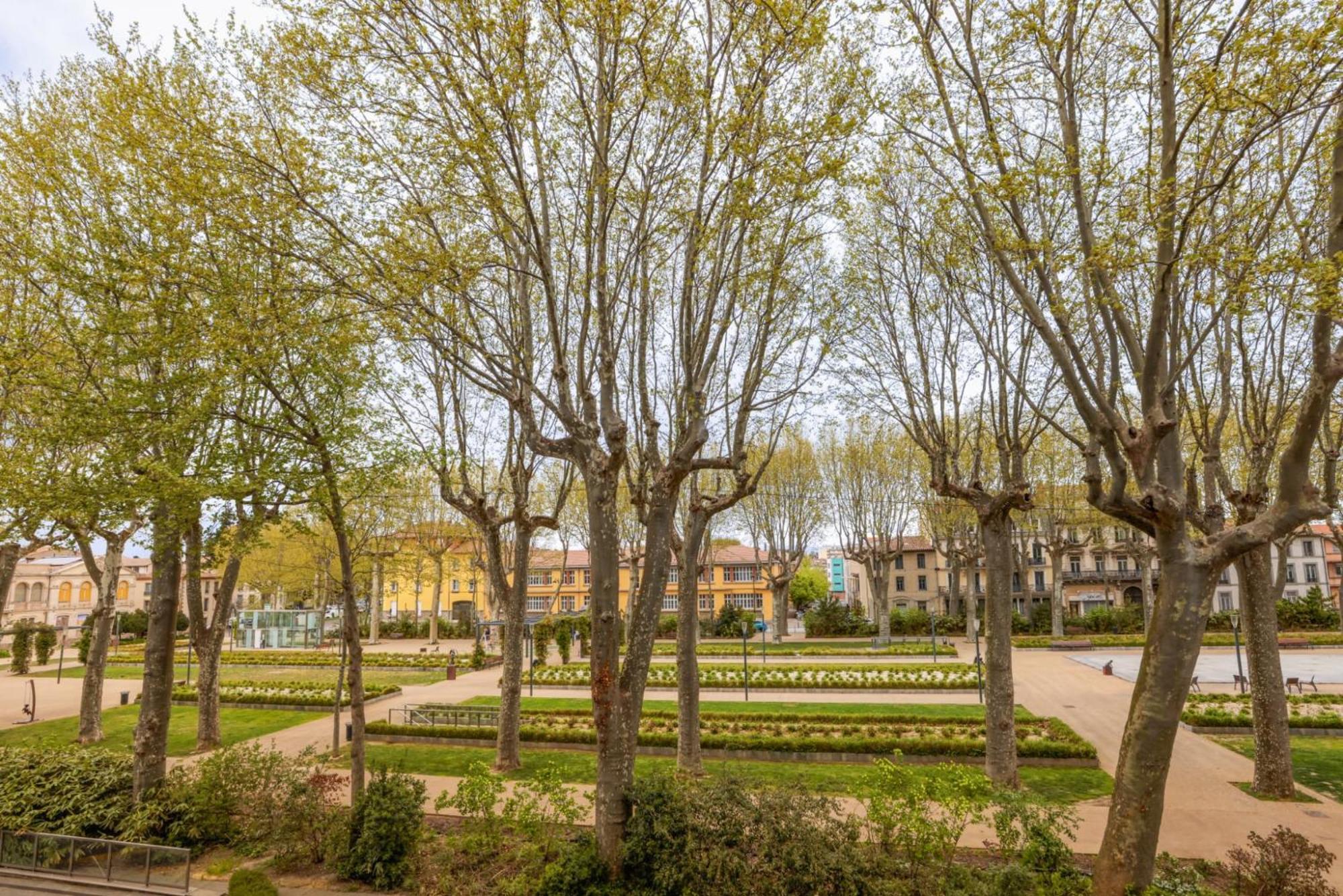 L'Art De Gambetta Conciergeriedamecarcas Apartment Carcassonne Bagian luar foto